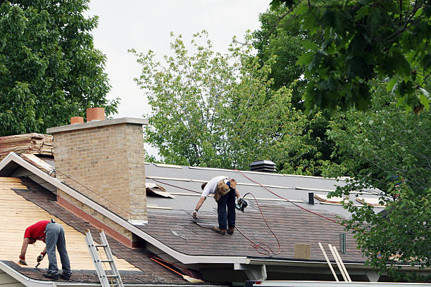 Roof Gutter Cleaning in Lakewood, SC